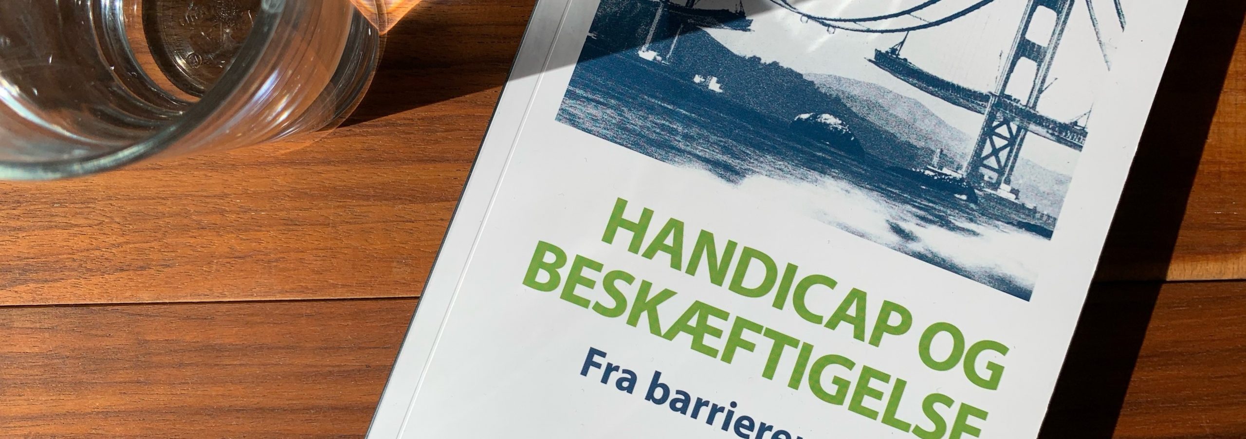 Bogen Handicap og beskæftigelse, fra barrierer til broer